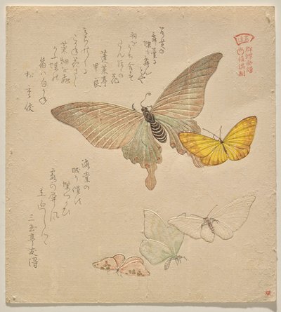 The Painting Manual of Flock of Butterflies (Guncho? Gafu) af Kubo Shunman