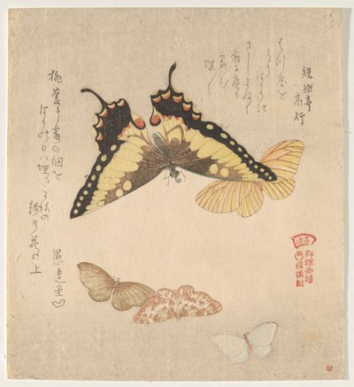 The Painting Manual of Flock of Butterflies (Guncho? Gafu) af Kubo Shunman