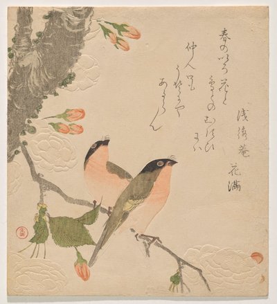 To bullfinches på et dobbeltbladet kirsebærtræ (Uso ni Yae-zakura) af Kubo Shunman