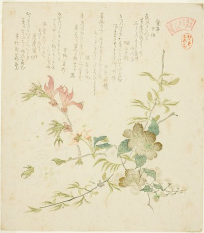 Forskellige forårsblomster, fra serien "Forårsplanter og træer til Kasumi Poetry Circle of the Yomo Group (Yomogawa Kasumi-ren haru no kusaki no uchi)" af Kubo Shunman