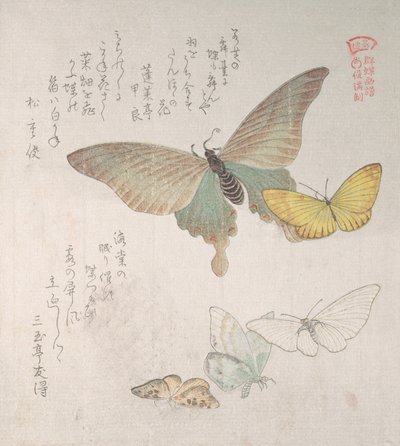 Forskellige møl og sommerfugle, 1800-tallet. af Kubo Shunman