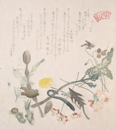 Violer, Primroser og andre forårsblomster, 1800-tallet. af Kubo Shunman