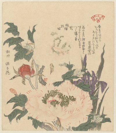 Pæoner og iris Kakitsubata botan (titel på objekt) Et udvalg af planter til Kasumi Poetry Society (serietitel) Kasumiren sômoku awase (serietitel på objekt) af Kubota Shunman