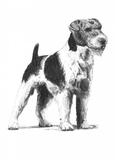  af Kulik