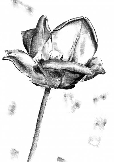  af Kulik