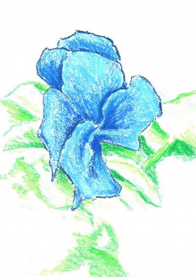 af Kulik