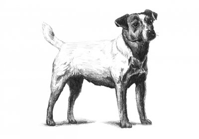  af Kulik