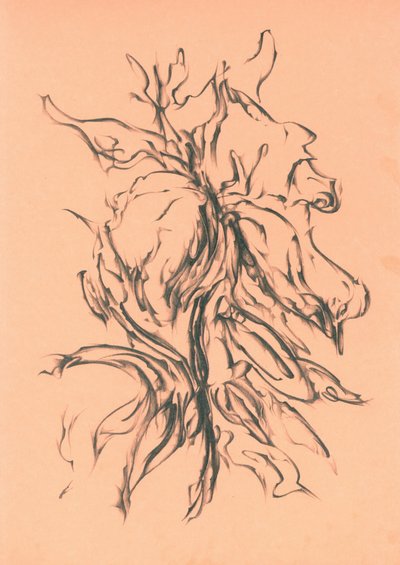  af Kulik