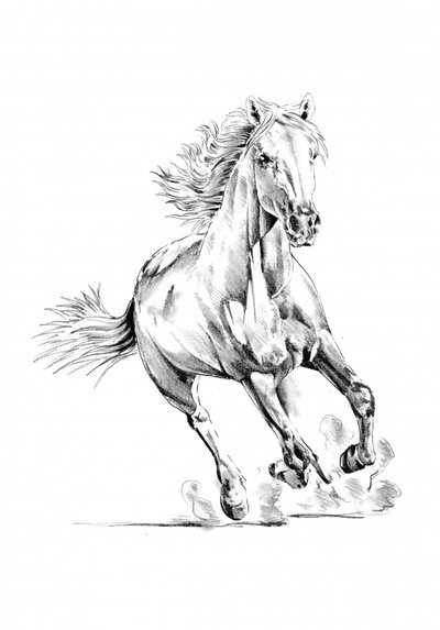  af Kulik