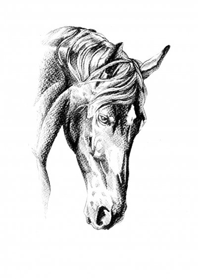  af Kulik