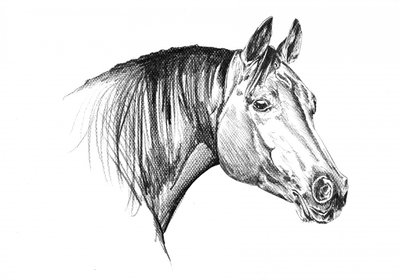  af Kulik