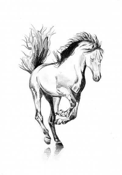  af Kulik