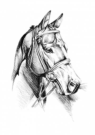  af Kulik