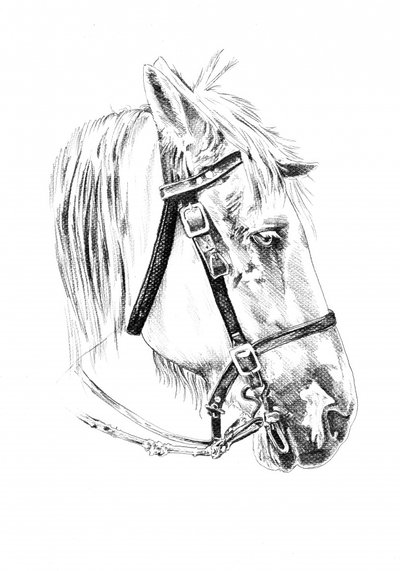  af Kulik