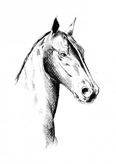  af Kulik