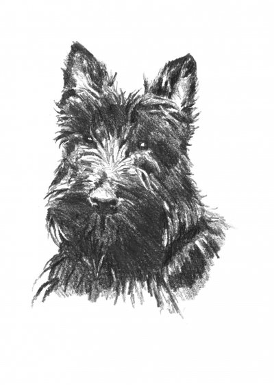  af Kulik