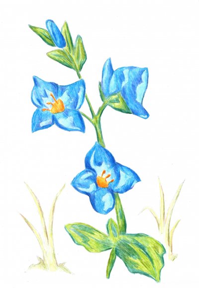  af Kulik