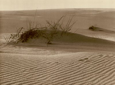 Skiftende klit på den kuriske spids nord for Rossitten; Skiftende klit en den kuriske sandspyd i den nordlige del af Rossitten (s/h foto) af Kurt Hielscher