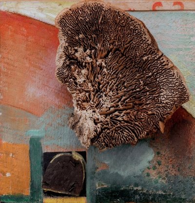 Uden titel (Merz-billede med koral) af Kurt Schwitters
