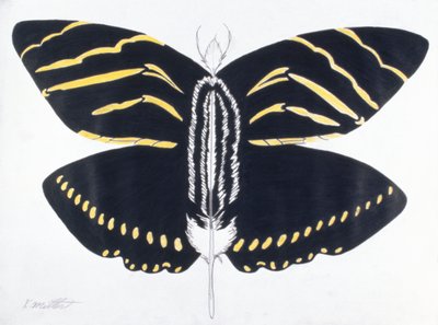 Feathered Butterfly, 2004 (farveblyant på papir) af Kurtis L. Miller