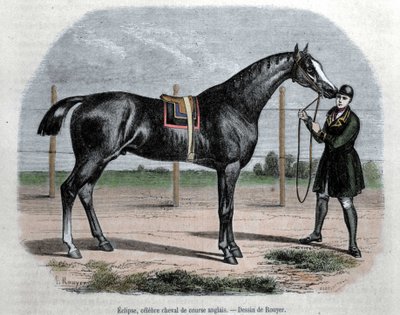Den engelske væddeløbshest Eclipse. Illustration af Rouyer. af L. (after) Rouyer