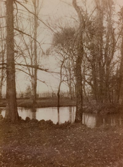 Album af første verdenskrig i Friuli-Venezia Giulia: dammen i parken Villa Brazza, krigshospitalet n. 17, Soleschiano Manzano af L. Verdiani