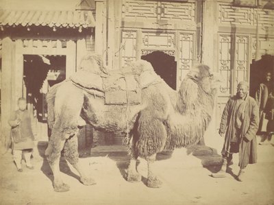Beijing. af. 923, 1867. af Lai Fong.