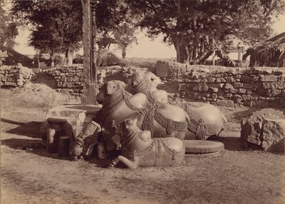 Tyre eller nadier med ornamentale udskæringer Set fra siden, Warangal, Hyderabad, Deccan af Lala Deen Dayal