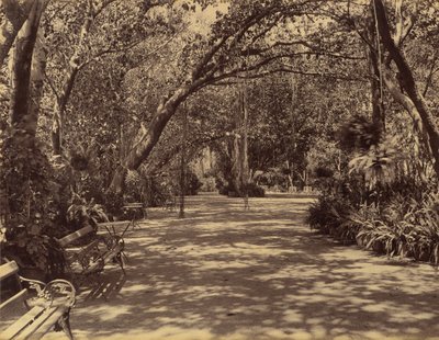 Sukh-Vilas Palace Garden, 1880-90. af Lala Deen Dayal