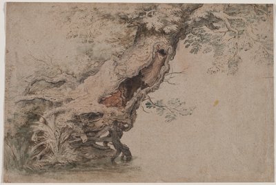 Hollow Tree, efter Roelant Savery af Lambert Doomer