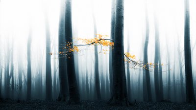Tåget skovglød af Lars van de Goor †