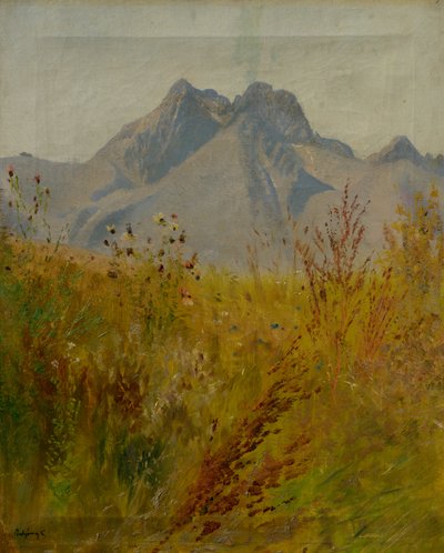 Lomnicky Peak af Laszlo Mednyanszky