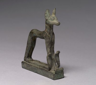 Sjakal, 664-30 f.Kr af Late Period Egyptian