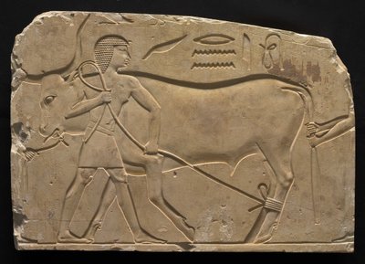 Mænd, der truer en okse, 667-647 f.Kr af Late Period Egyptian
