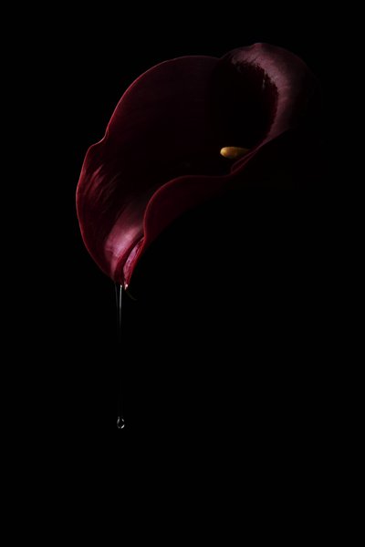 Dyb rød Calla Drop af Laura Benvenuti