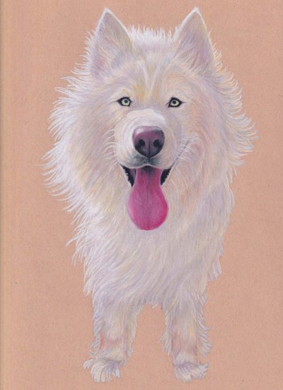 Snowky, 2021 (farveblyant på tonet papir) af Laurie Michaels