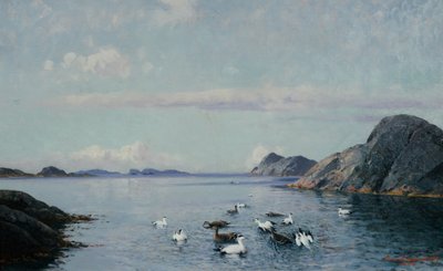 Sydkyst med havfugle af Lauritz Haaland