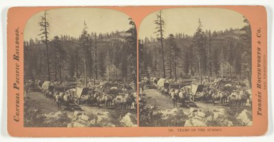 Hold på topmødet, 1867. af Lawrence and Houseworth