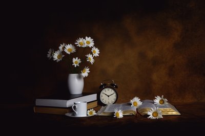 Daisies Books Morgenfred af Leah Xu