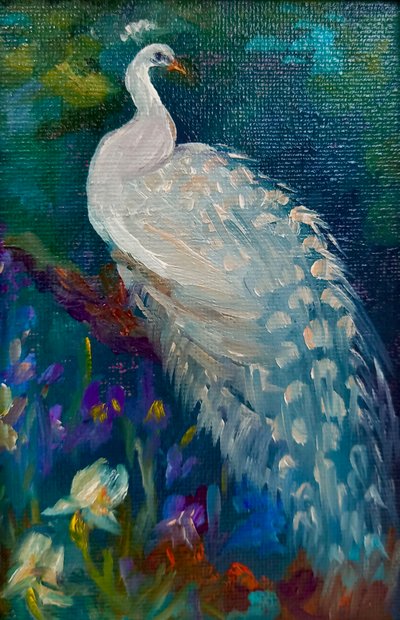 Hvid påfugl, 2025 (olie på lærred) af Lee Campbell