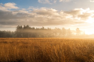Fallen Light, 2023 (foto) af Lee Cooper