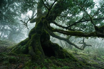 Det glemte land, 2025 (foto) af Lee Cooper