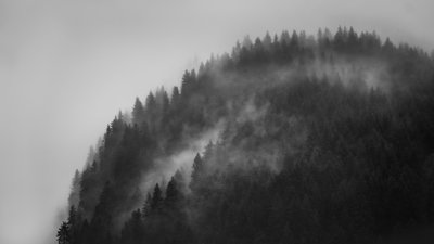 Greenwitch Way, 2022 (foto) af Lee Cooper