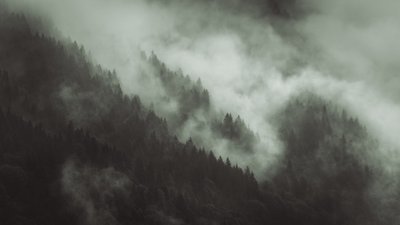 Tangled, 2022 (foto) af Lee Cooper