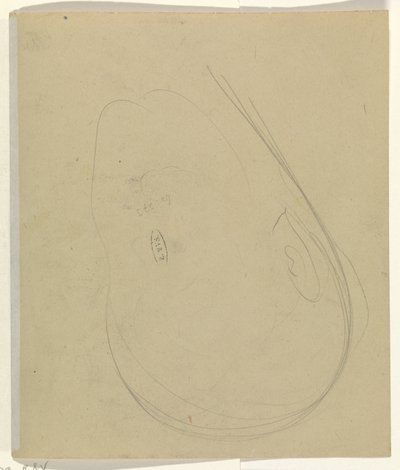 Hovedets konturer af Leo Gestel