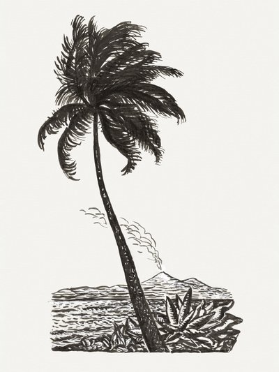Palme med en ø (ca. 1891–1941) af Leo Gestel