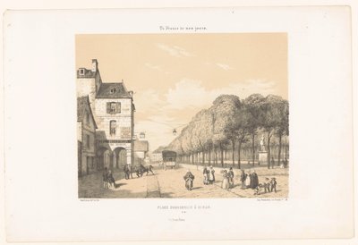 Tog til Place Du Guesclin i Dinan Place Duguesclin à Dinan (titel på objekt) Dagens Frankrig (serietitel) La France de nos jours (serietitel på objekt) af Leon Auguste Asselineau