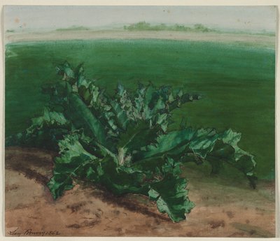 Studie af en plante, muligvis tidsel af Léon Bonvin