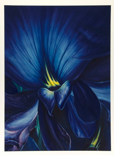 Kinesisk delphinium af Leon Carroll