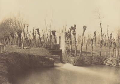 Landskab, Montebello, ca. 1860 (foto) af Léon Gérard